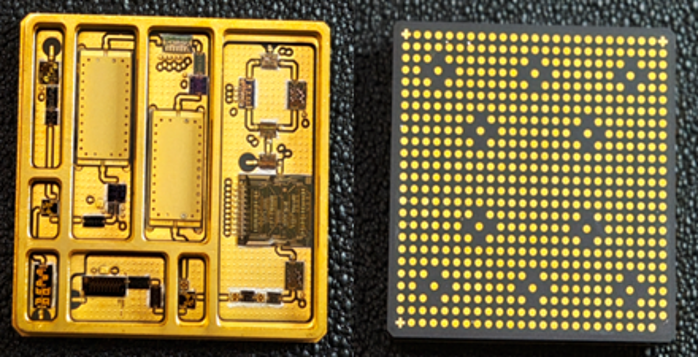 2026.3.12植树节18